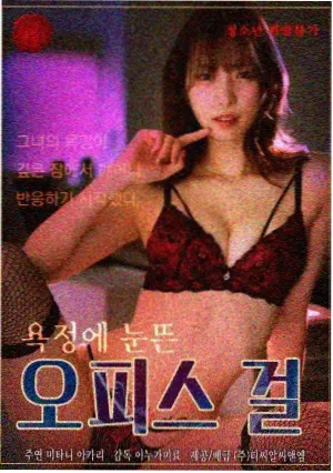 综艺与动画分类说明 配图